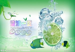 法国联赛强强对决，里昂对阵摩纳哥